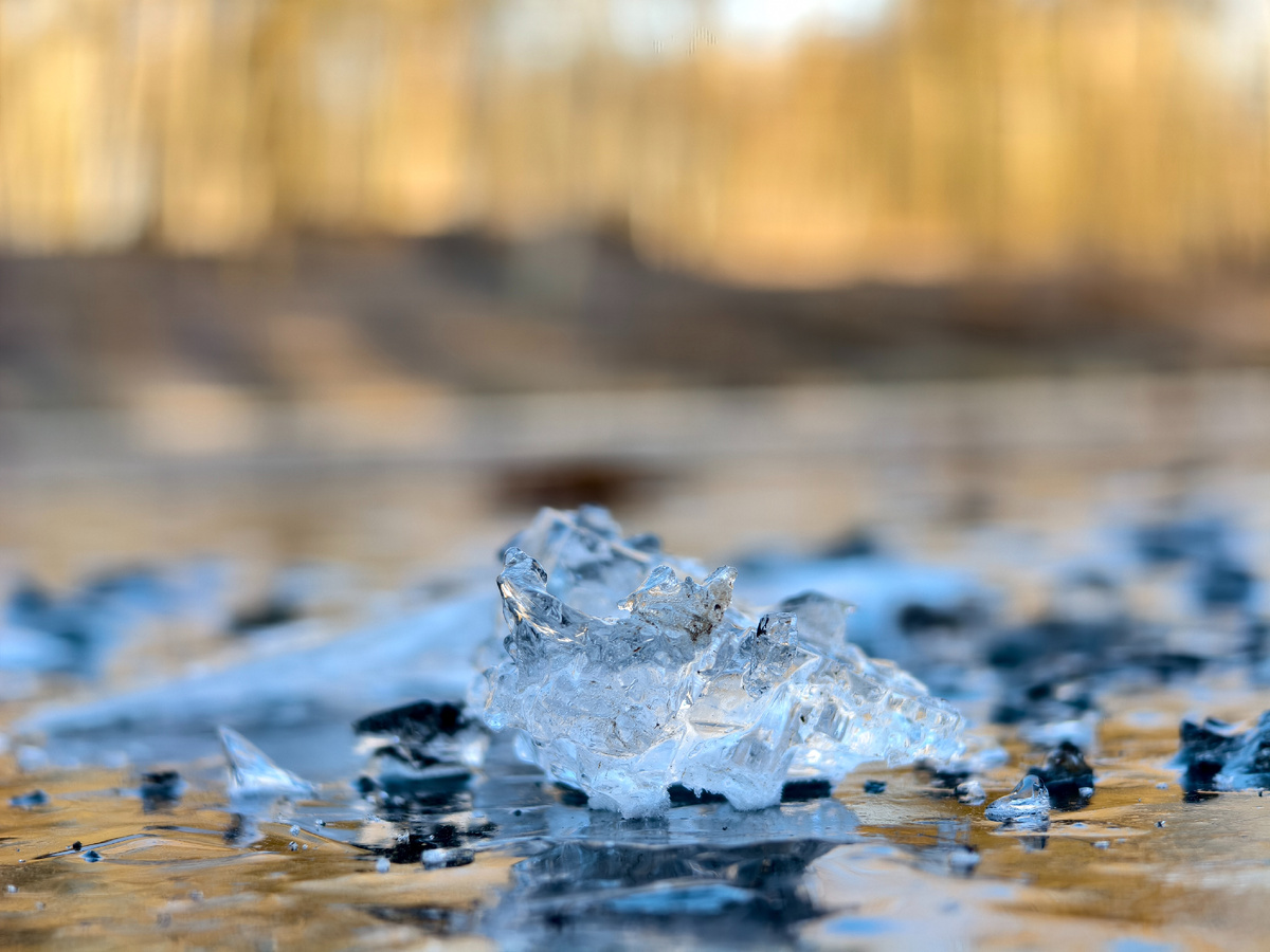 Первые морозы на пруду 