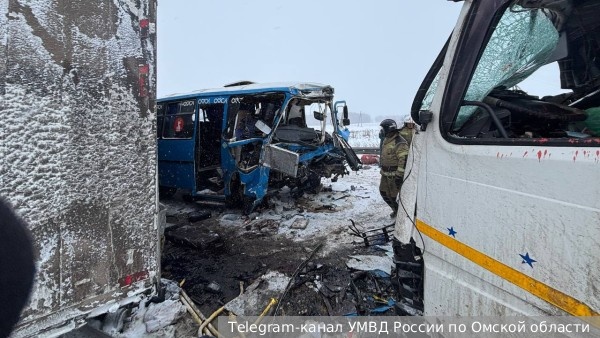     Фото: Telegram-канал УМВД России по Омской области   
 Текст: Антон Антонов