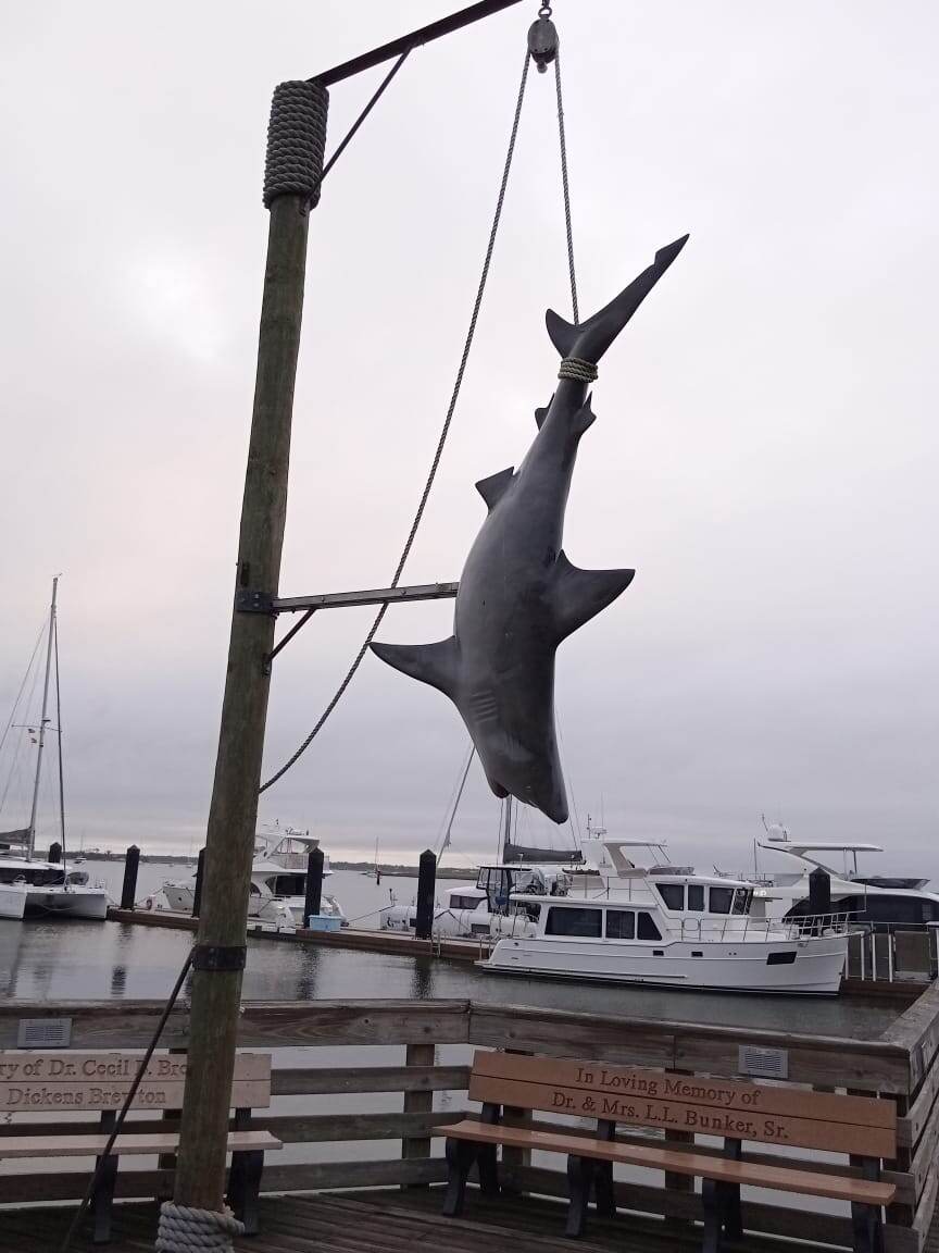 Ни одна рыба при съёмках  не пострадала ...