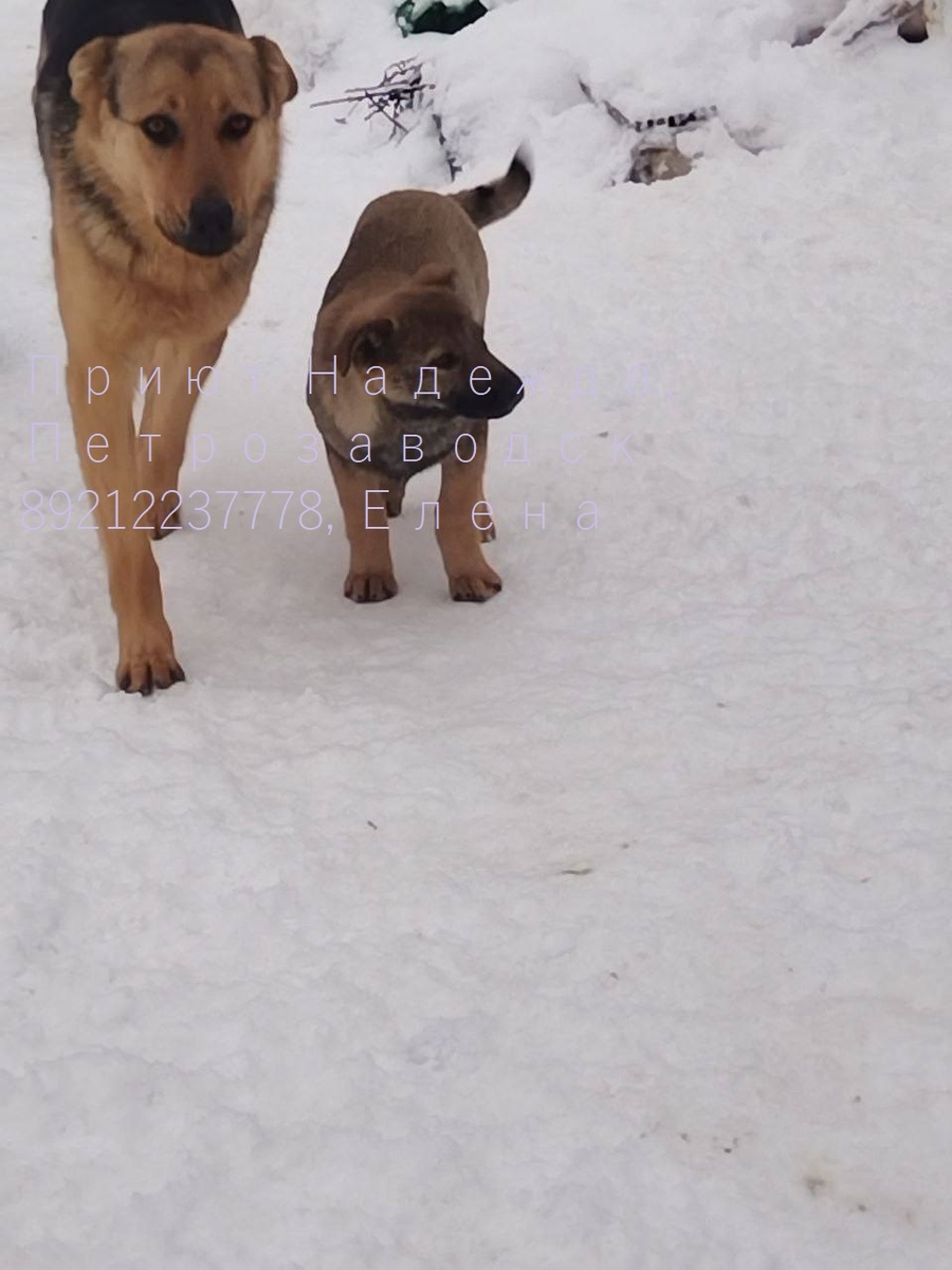 Еще с матерью