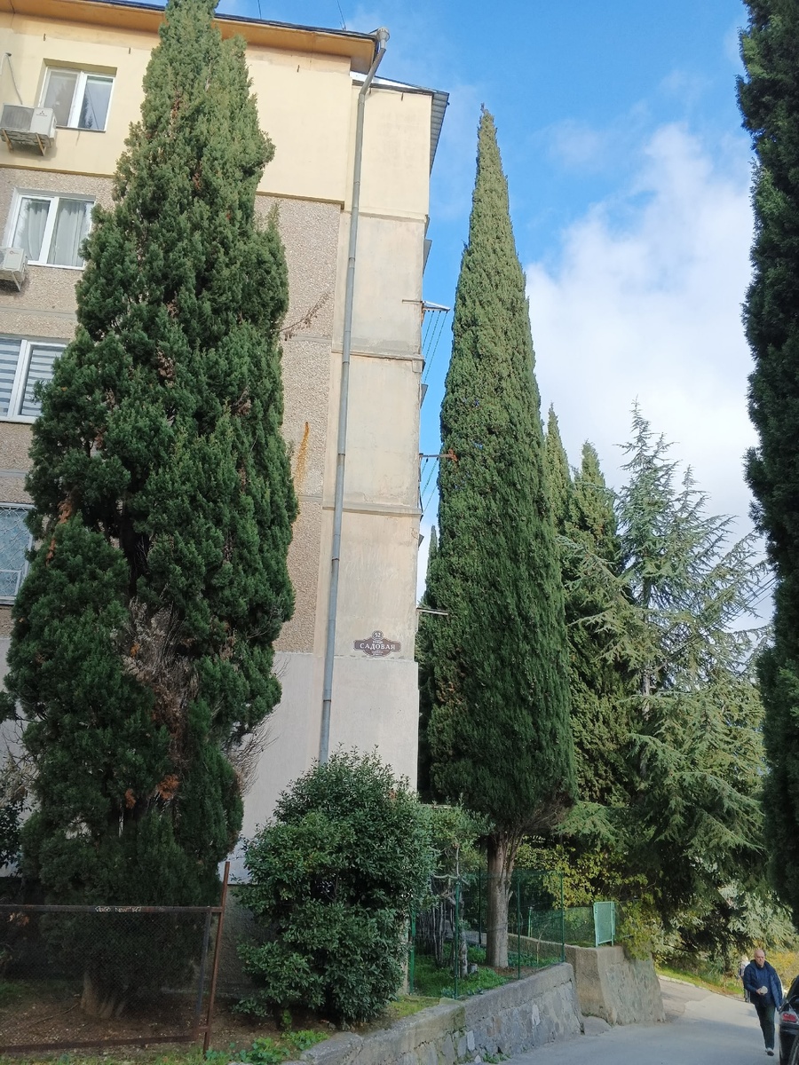 Район старый, хрущёвки. Фото Галины Малышевой.