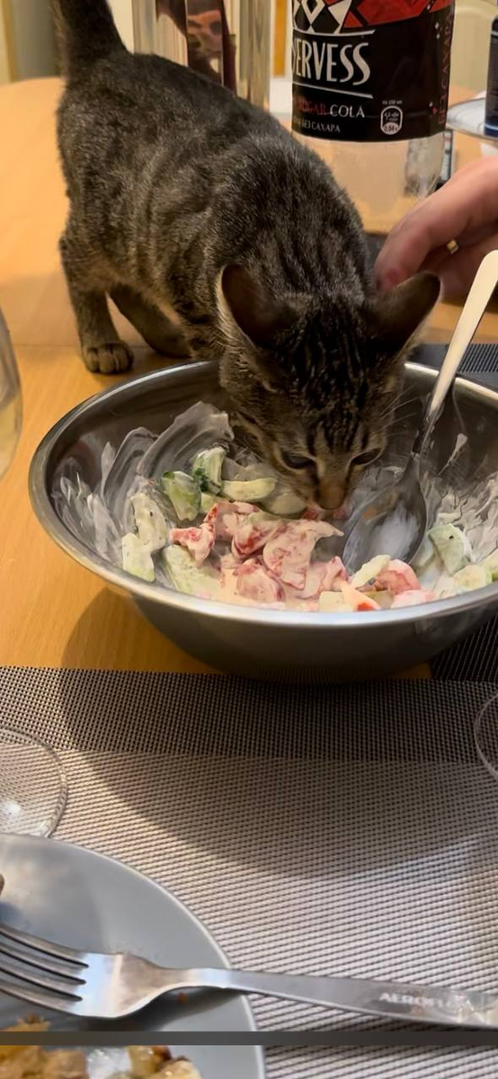 дегустирую салат