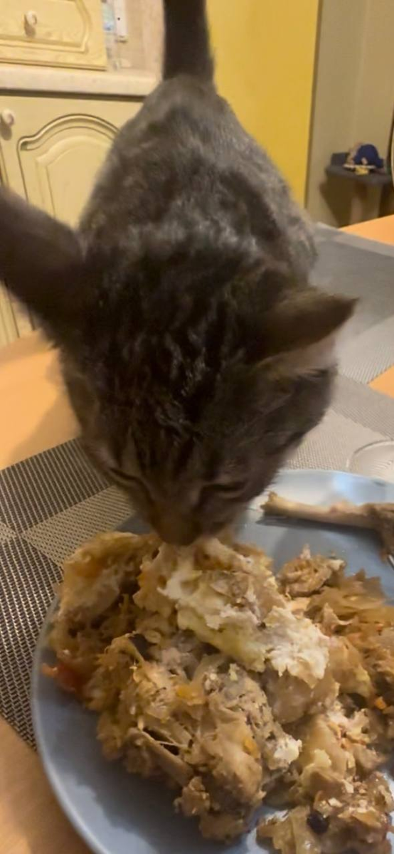 рагу с мясом тоже вкусно