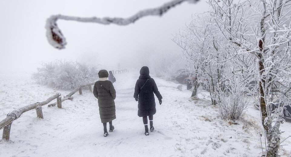    IMAGO/Jan Eifert/www.imago-images.de / www.globallookpress.com