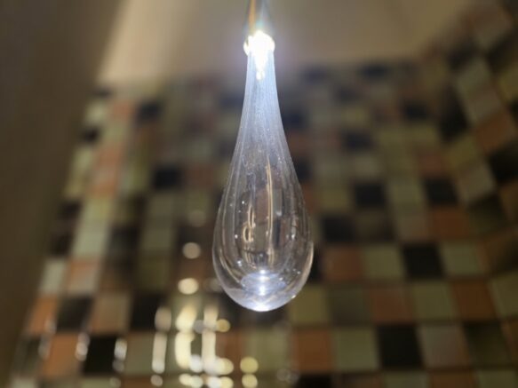    Фото: Элина Болдырева