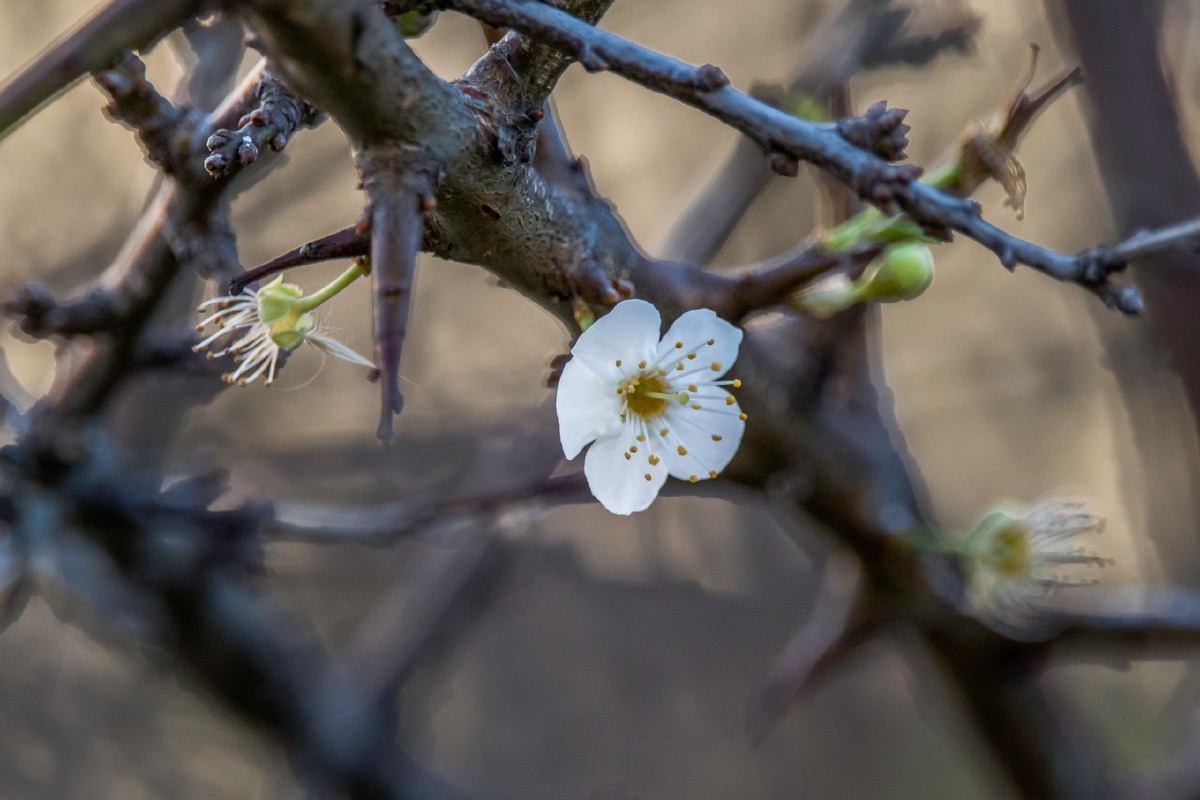 Где как , а у нас так 