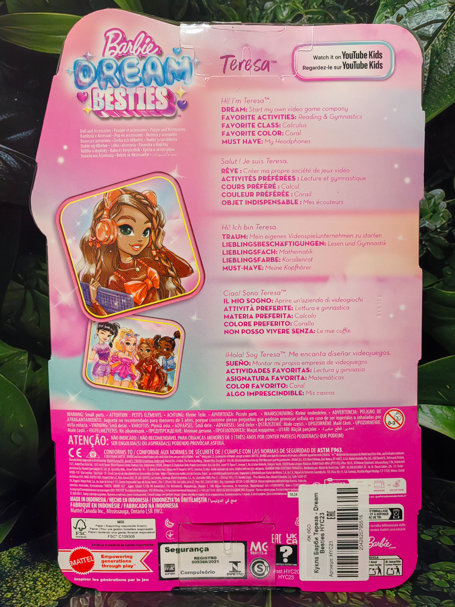 Mattel Barbie Dream Besties HYC23 Teresa - Тереза, вид коробки сзади
