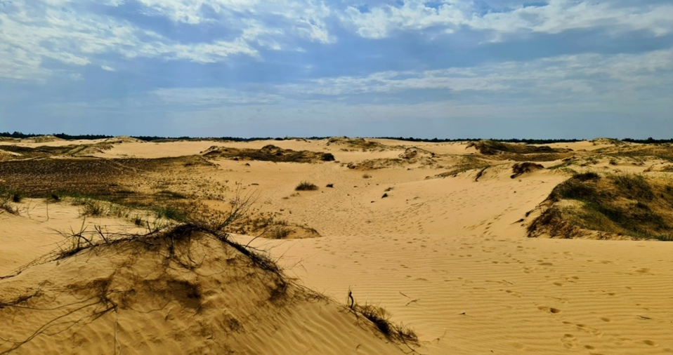 Восстановление почвенного слоя в районах опустынивания