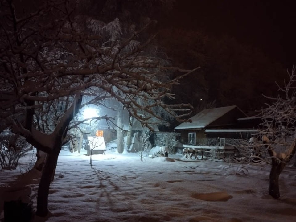    Фото: REGIONS/Роман Малышенко