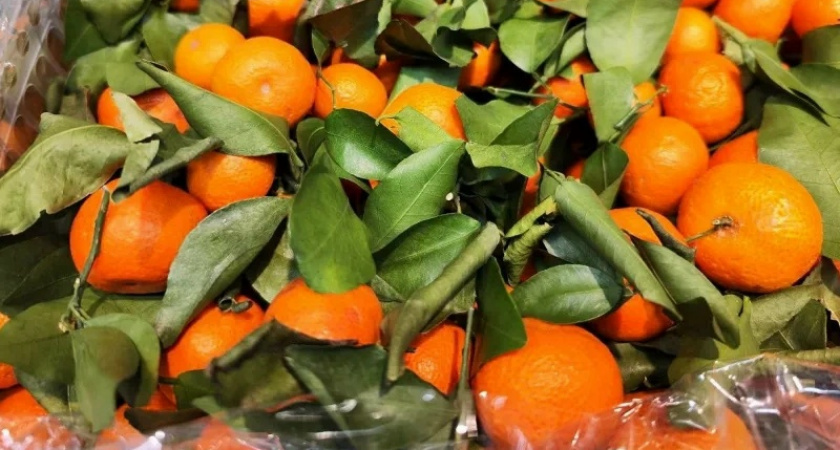    Фото usolie.info