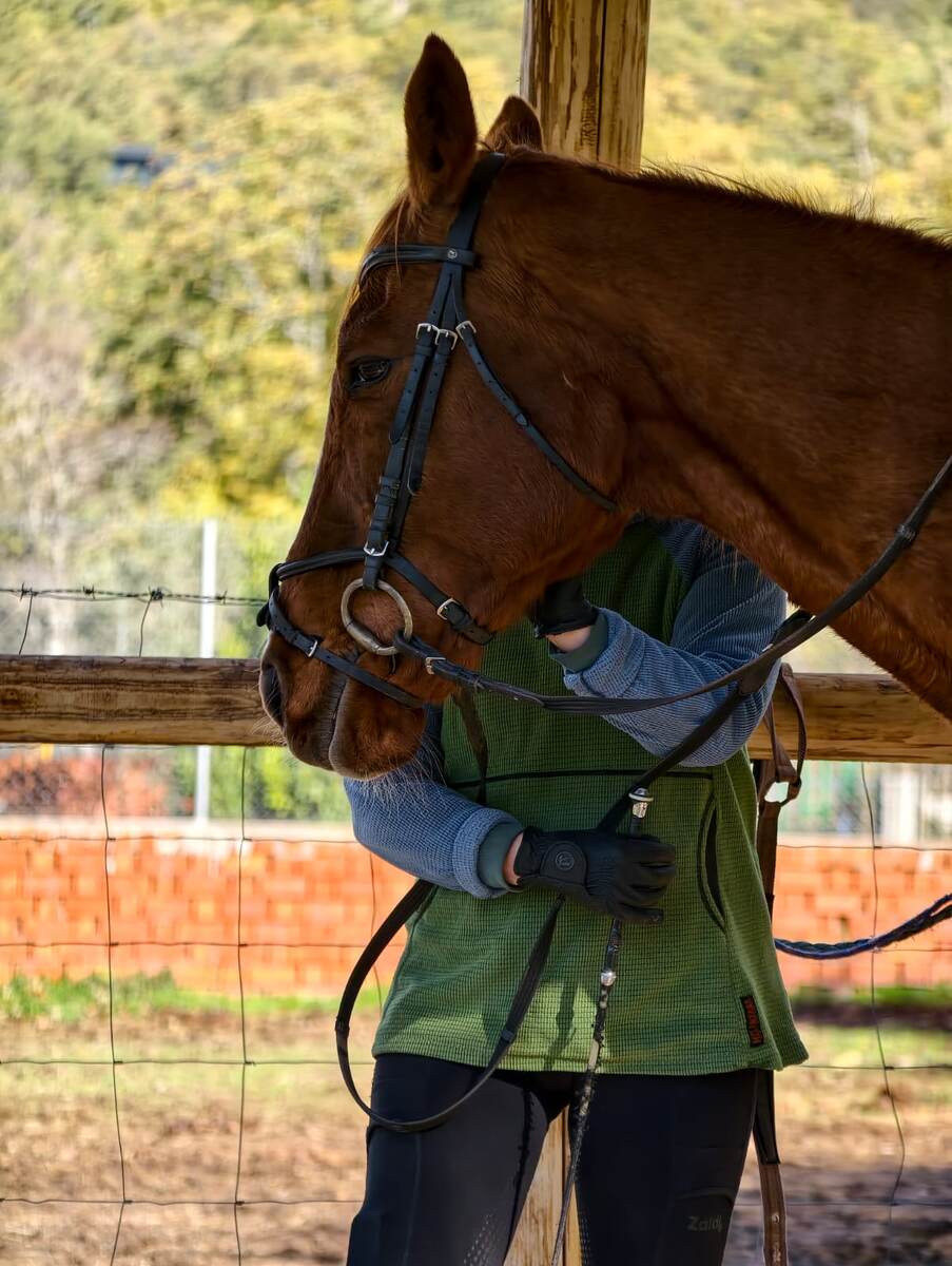 Это мы с Хирафой (Жирафой)