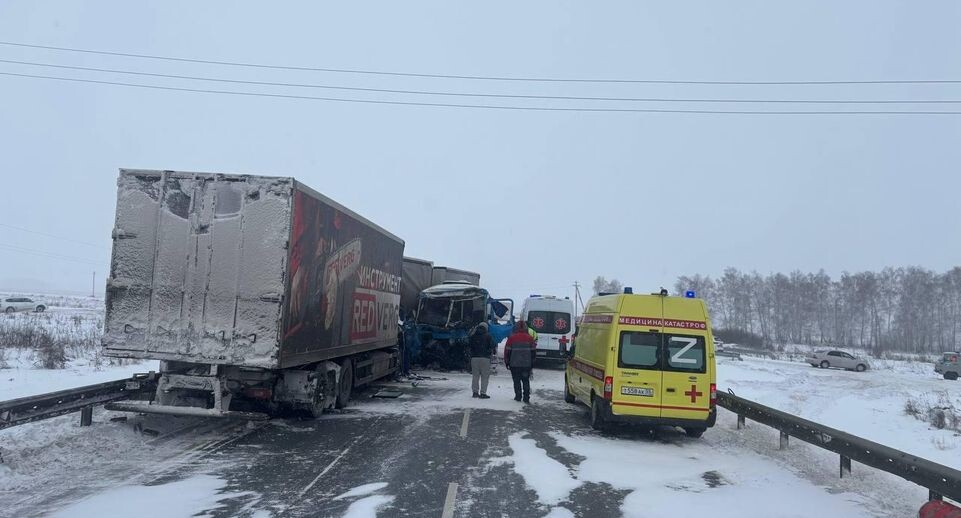    Прокуратура Омской области / Telegram