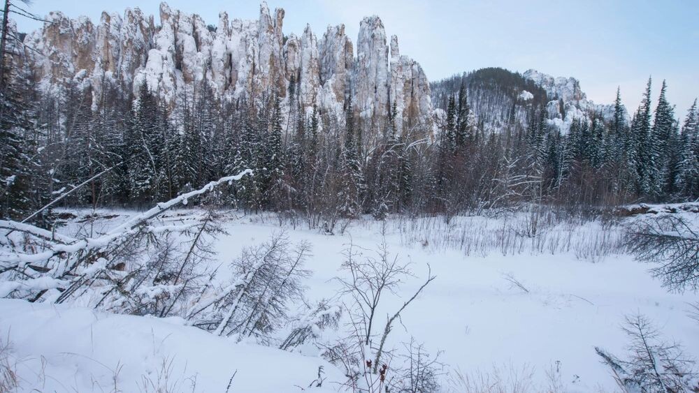    Фото: Mikhail Cheremkin/Shutterstock/Fotodom