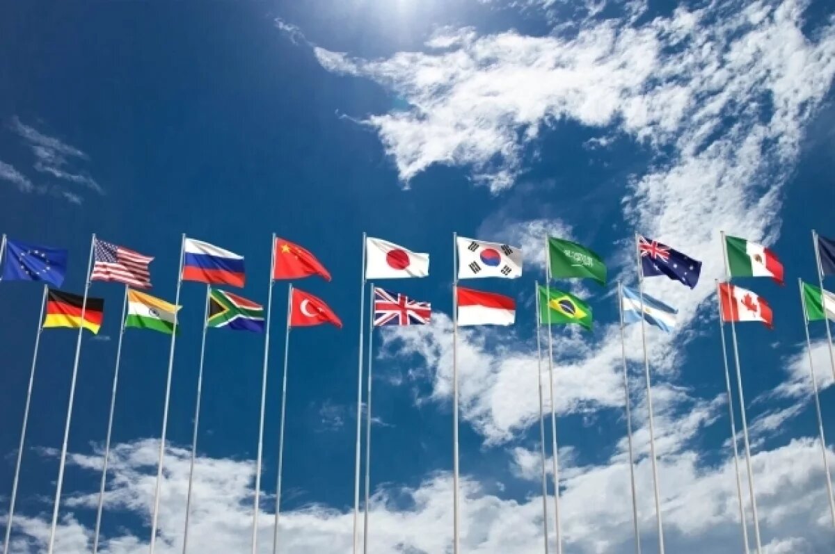    Делегация России в G20 назвала заморозку российских активов воровством