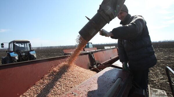    © РИА Новости . Сергей Аверин