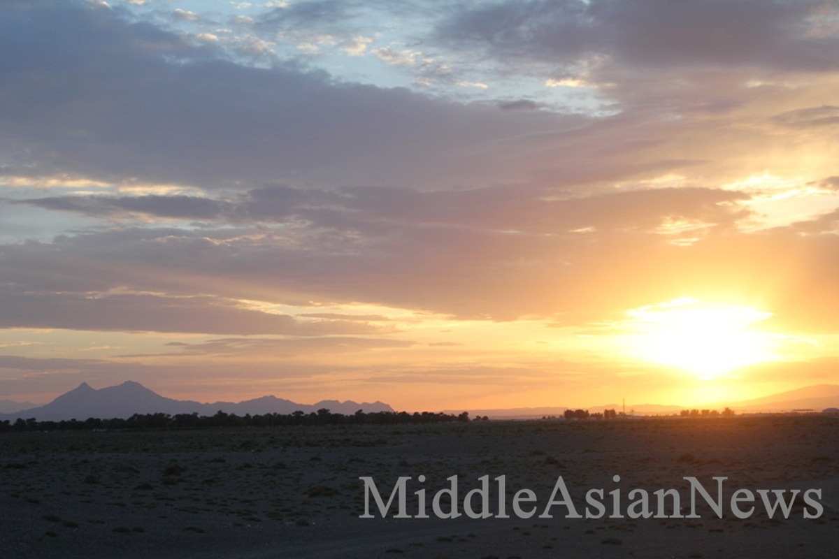 Саксауловый лес в сомоне Цогт на горизонте