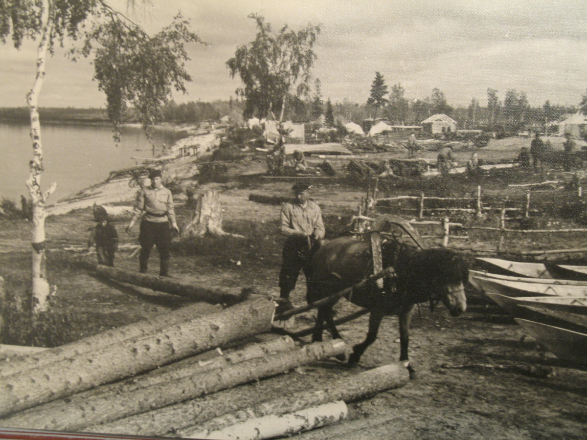 Снабжение местными стройматериалами лагерных пунктов Северного управления лагерей железнодорожного строительства. Фото из фондов Государственного архива Российской Федерации
