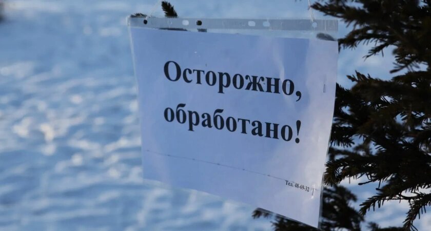    Фото мэрии Иркутска