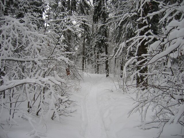    Фото: Москва 24/Александр Горностаев