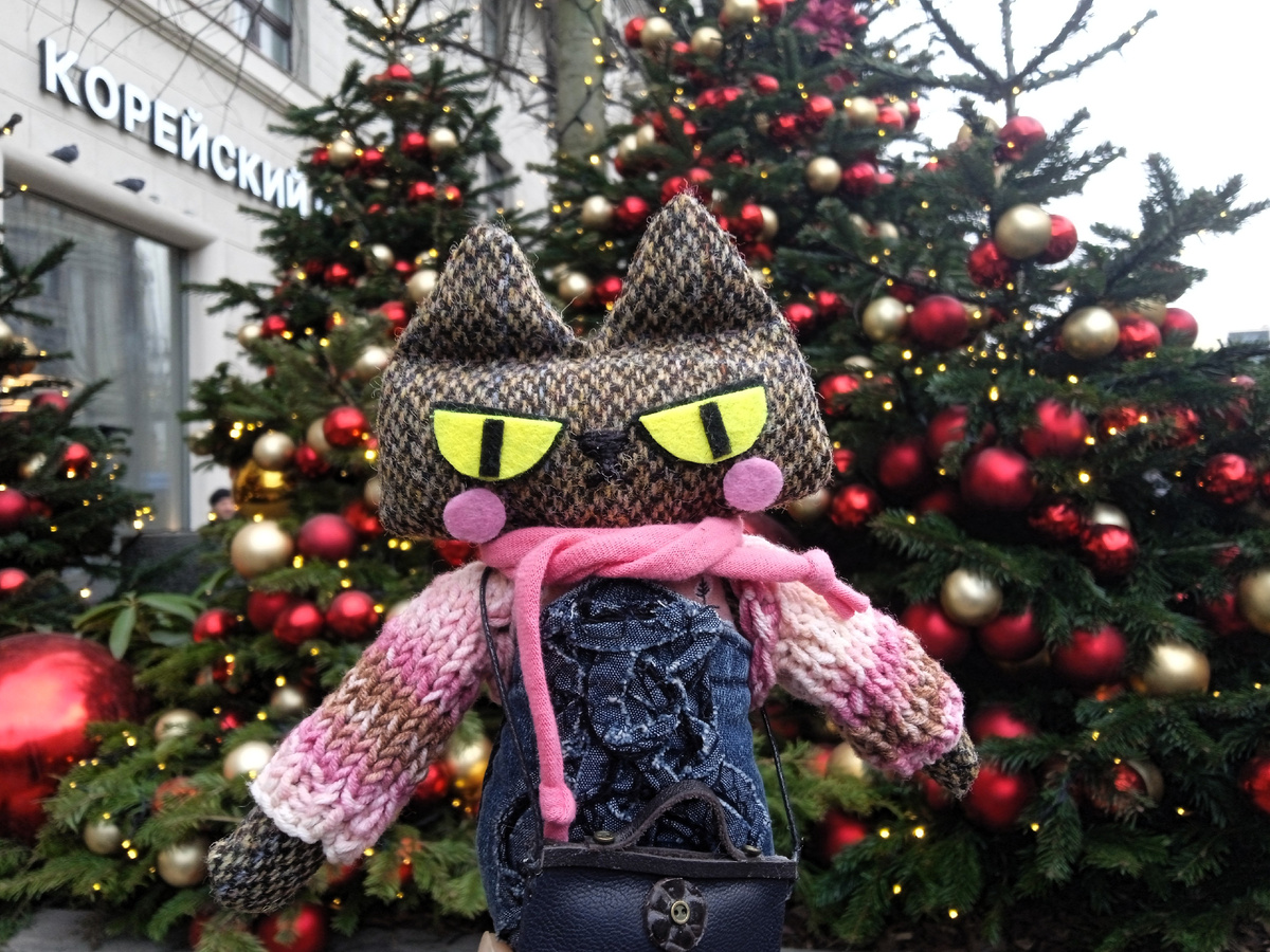 Авторская Кошка. Москва. Тверская 20 декабря 2025.