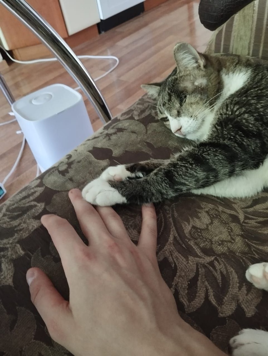 Каким нежным и ручным он стал...