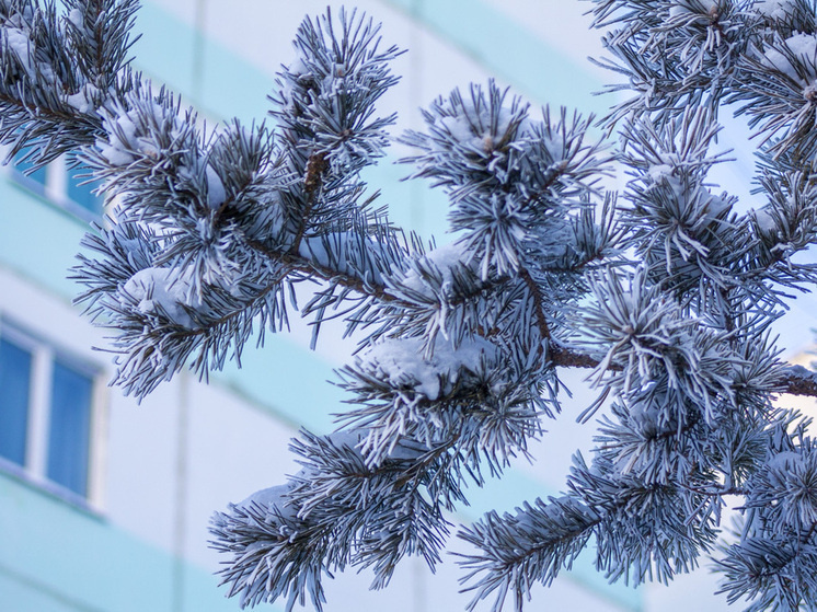     Фото: Сиб.фм