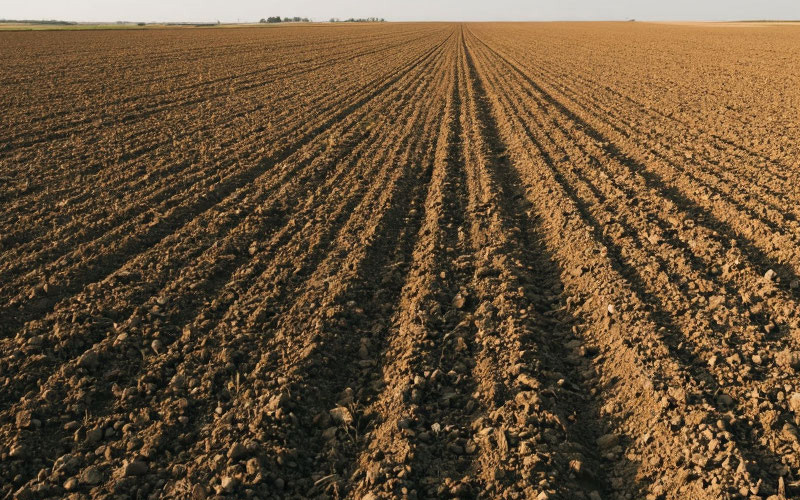    Шедеврум Валерия Стальная