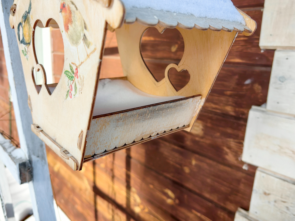 Дачные хроники декабря. После метели 