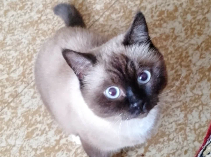 Завтра на работу!