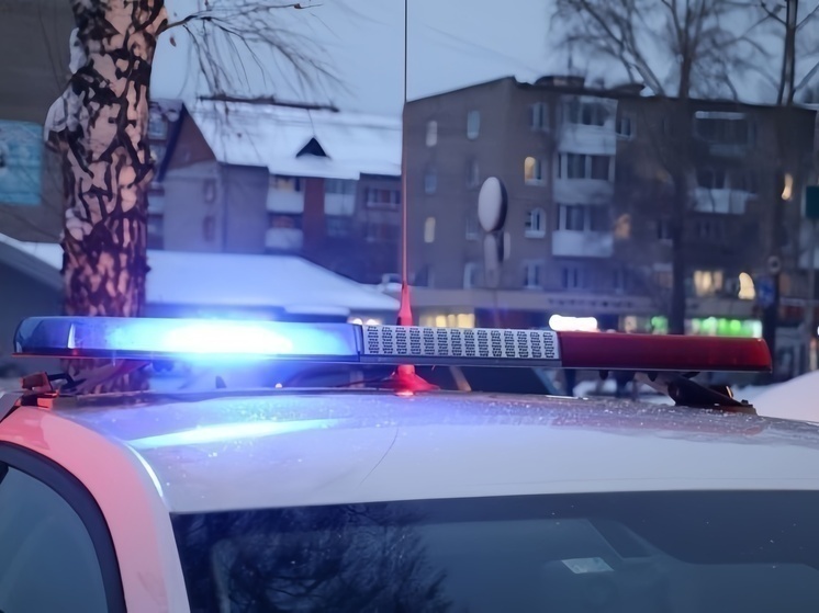     ФОТО: ТГ КАНАЛ ТОМСКАЯ ПОЛИЦИЯ