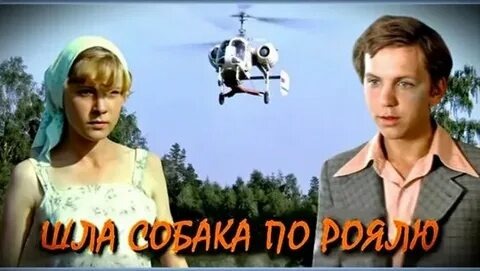 Из открытых источников интернета 