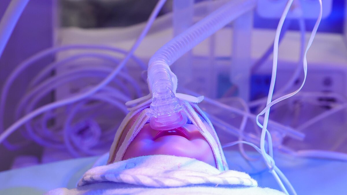    Фото: Shatokhina Natalia/globallookpress.com