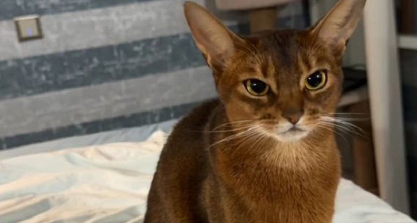    Фото Анастасии Дмитриевой