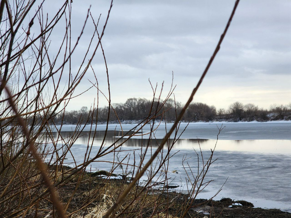    Фото: МедиаБанк Подмосковья/Анна Шолохова