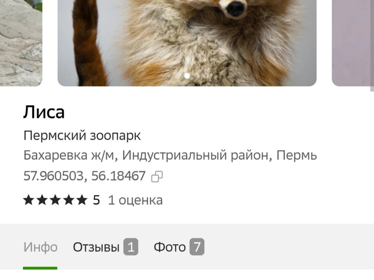    В числе мемов — лиса, доведенная до нервного срыва
