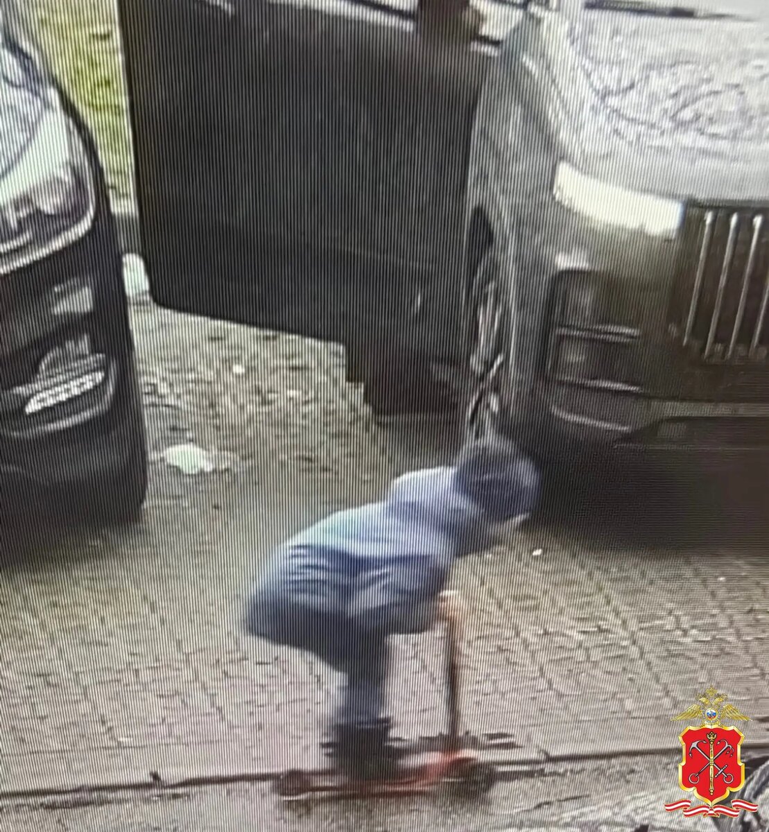    Фото: пресс-служба ГУ МВД России по Петербургу и Ленобласти