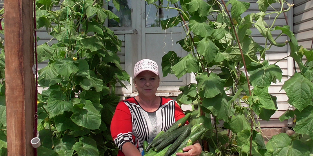 Найдете все, что вас интересует! Несколько тысяч видео и ВСЕ ПРО ОГОРОД!