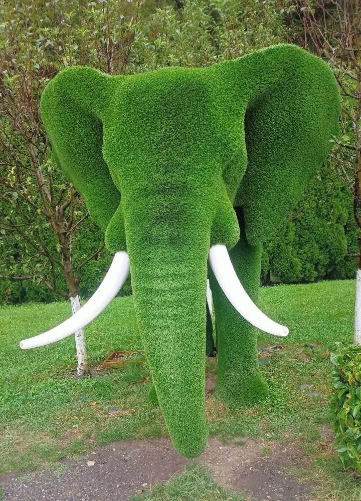 Вот такой слон мне встретился на Красной поляне в Сочи. Кстати, все остальные топиарии тоже оттуда