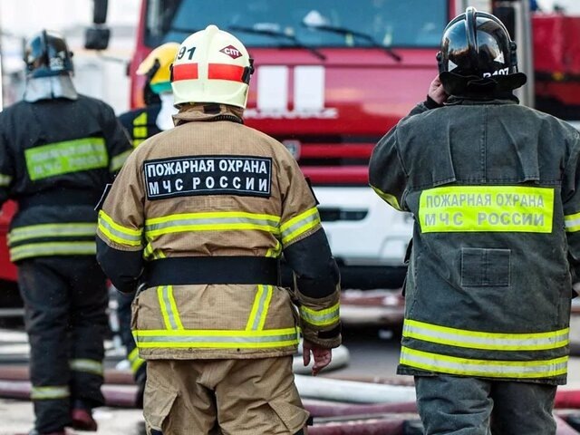    Фото: портал мэра и правительства Москвы