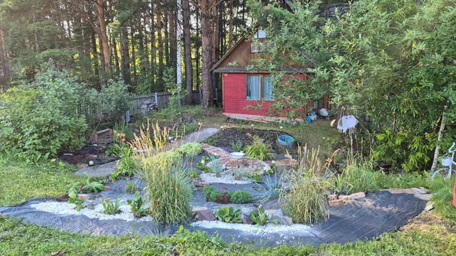 Цветник в 2025 году после переделки, растения еще не набрали мощности