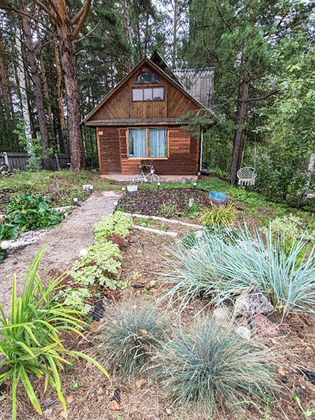 Цветник в 2024 году, растения разрослись за два года