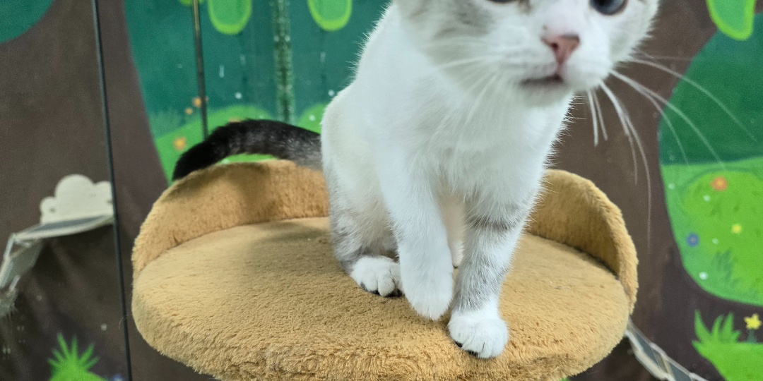 За этими глазами скрывается что-то