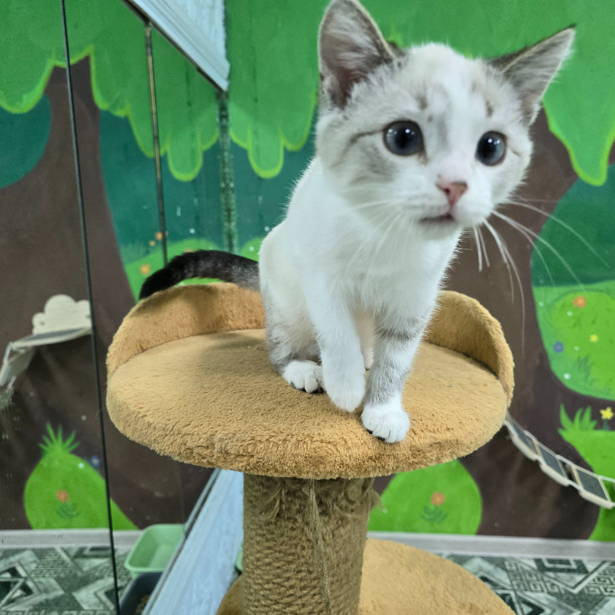 надежда в больших круглых глазах малыша