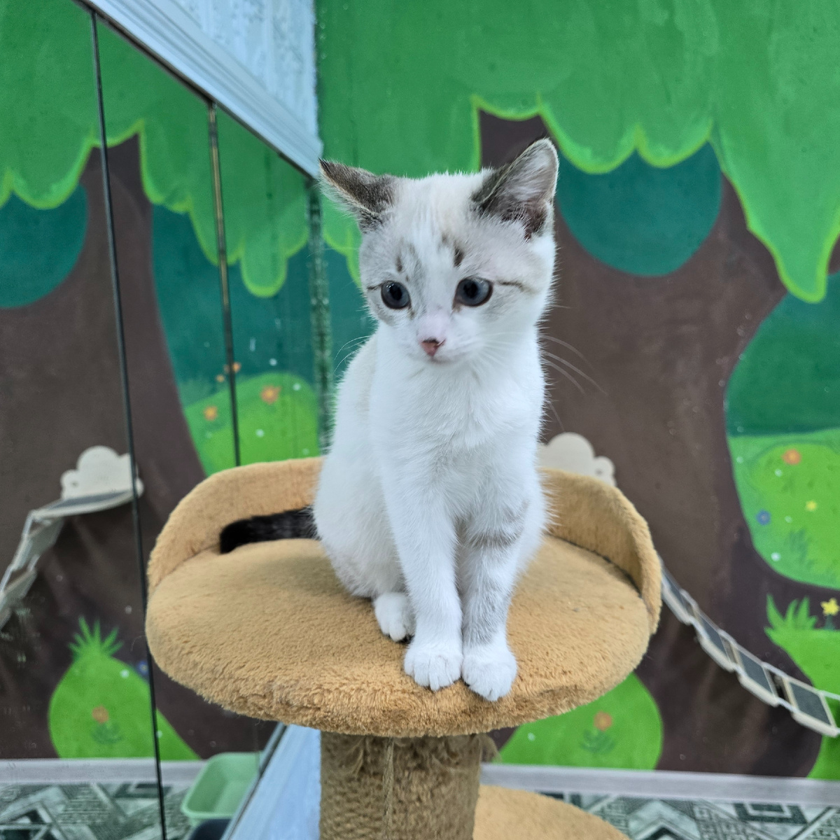 одиночество на плюшевой подушке счастья