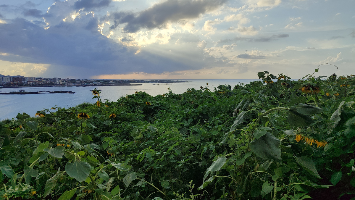 Корея. Чеджу.