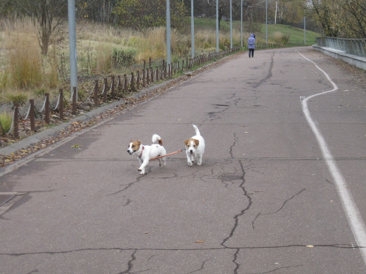 Фото автора. Каждый - в своем направлении... или связке.