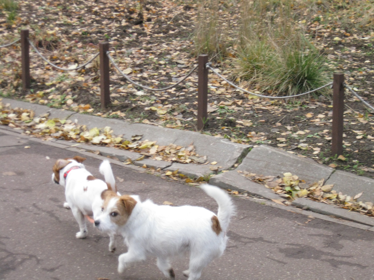 Фото автора. Тренируемся, не видишь?..