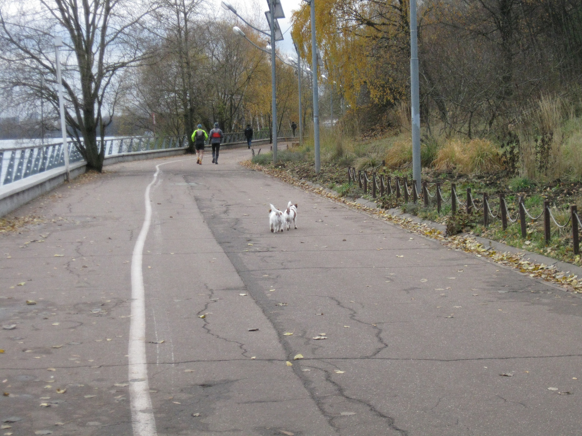 Фото автора. Дубль - два. Хозяева, подождите!..