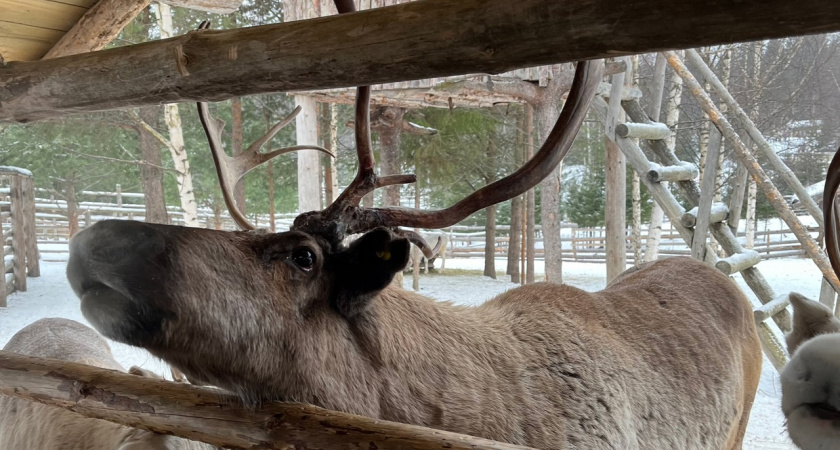    Фото редакции