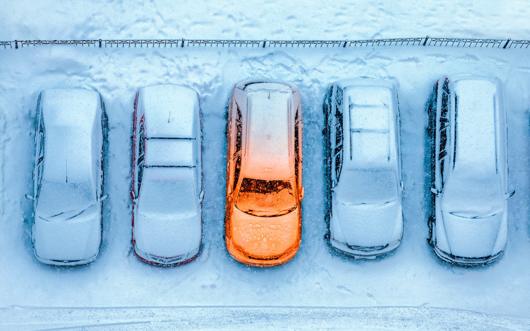 Фото: Shutterstock